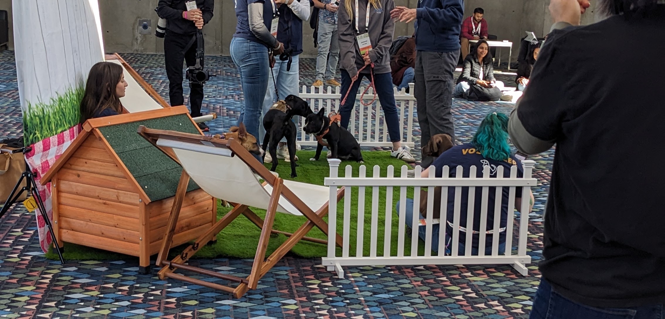 Puppy pit at kubecon